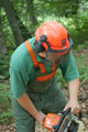 Click to see it big Ich mit Kettensäge, Impression aus dem Wald